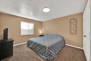 Carpeted bedroom with a textured ceiling and a closet