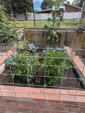 View of yard with a garden
