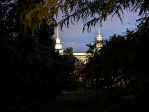 View of local wilderness