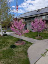 View of front of home featuring a front yard, roof mounted solar panels, and board and batten siding