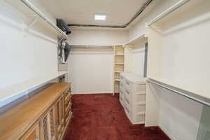 Spacious closet with dark carpet