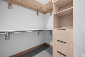 Walk in closet with carpet floors