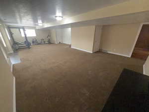 Below grade area with carpet floors and a textured ceiling