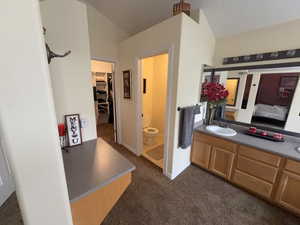 Bathroom featuring dark colored carpet, double vanity, a walk in closet, and ensuite bathroom