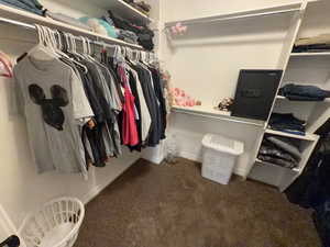 Walk in closet with dark carpet