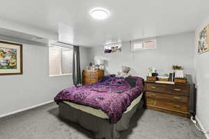 Carpeted bedroom featuring multiple windows