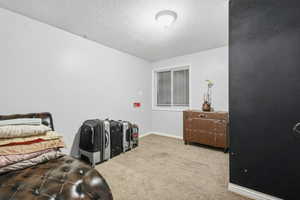 Bedroom with carpet flooring and a textured ceiling