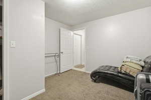 Living area featuring light carpet and a textured ceiling