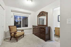 Sitting room featuring light carpet and a textured ceiling