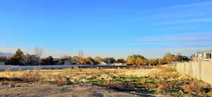 View of yard with a residential view