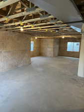 Unfinished Basement