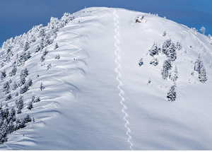 first tracks on James Peak.
