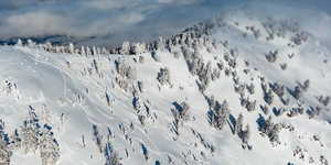 View of Davenport 'Primetime' runs. Opening this year!