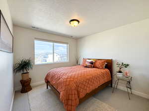 Carpeted bedroom with a textured ceiling and baseboards