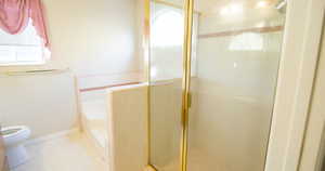 Primary bathroom shower