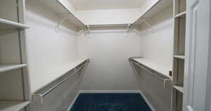 View of walk in closet in primary bedroom