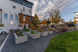 View of yard featuring a residential view