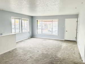 Spare room with healthy amount of natural light, a textured ceiling, carpet flooring, and a textured wall
