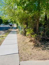 View of yard. NE corner, looking South