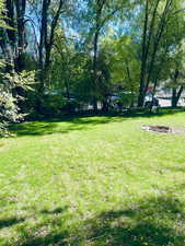 View of grassy yard. North side looking East