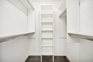 View of walk in closet