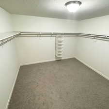 Spacious closet featuring carpet floors