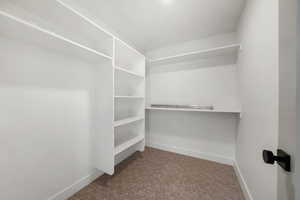 View of walk in closet