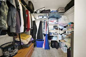Spacious closet featuring light carpet