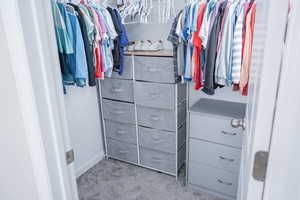 Walk in closet with light carpet
