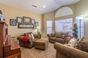Carpeted living room with vaulted ceiling and a textured ceiling