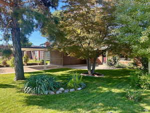 View of front of house with a front yard