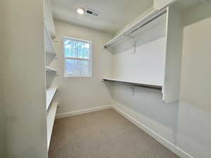 Spacious closet featuring light carpet