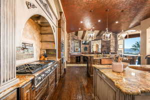 Kitchen featuring light stone counters, vaulted ceiling, dark wood-type flooring, pendant lighting, and appliances with stainless steel finishes