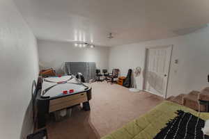 Carpeted recreation room in basement.