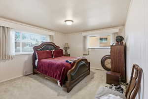Carpeted bedroom