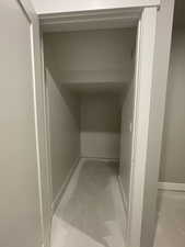 Closet under stairs