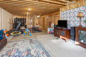 View of unfinished basement