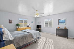Carpeted bedroom featuring multiple windows, a ceiling fan, and a textured ceiling