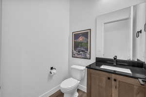 Bathroom featuring vanity and dark wood-type flooring