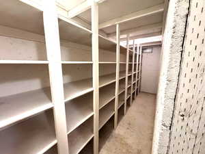 View of storage shelves in the basement.