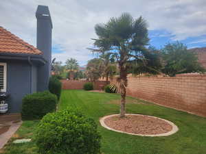 View of fenced backyard