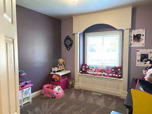 Morning light and bright. One of three bedrooms on the main floor. Closet organizer.