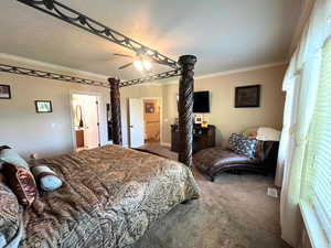 Other angle of master with ensuited glamor bath. New carpet. Crown molding.