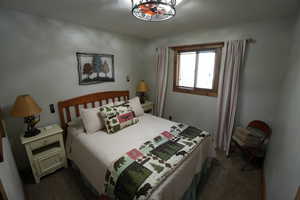 Bedroom with dark colored carpet