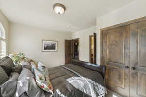 Bedroom with carpet flooring and a closet