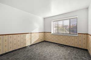 Unfurnished room with carpet and a wainscoted wall