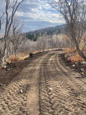 Driveway road - nice, easy grade