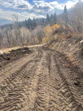 Driveway road - nice, easy grade