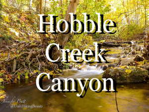 Beautiful Hobble Creek Canyon!