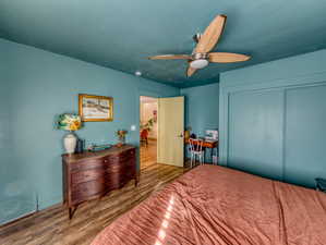 Bedroom with wood finished floors, a closet, and ceiling fan